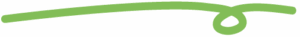 squiggle-divide-green-3 squiggle-divide-green-3