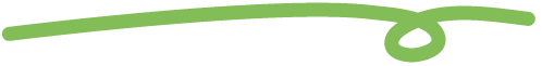 squiggle-divide-green-3 squiggle-divide-green-3